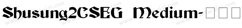 Shusung2CSEG Medium字体转换